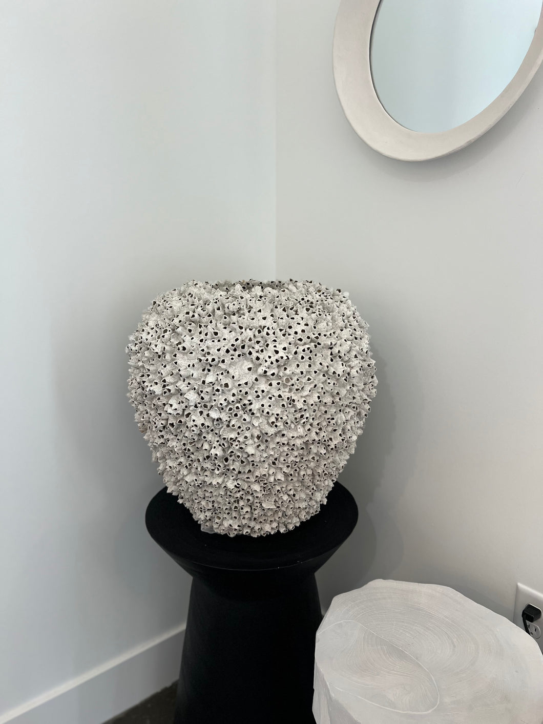 Tall Barnacle (Pick Up Only)