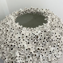 Load image into Gallery viewer, Tall Barnacle
