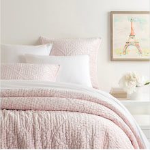 Load image into Gallery viewer, slipper pink velvet quilt on a bed with flowers and art next to the bed
