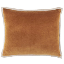 Load image into Gallery viewer, Gehry Velvet/Linen Decorative Pillow
