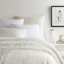 Load image into Gallery viewer, white velvet quilted sham on a bed
