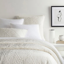 Load image into Gallery viewer, white velvet quilted sham on a bed
