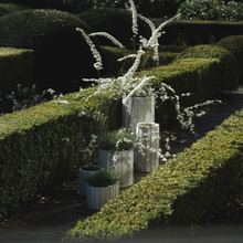 Load image into Gallery viewer, Planter Low 03 Off-White Rift
