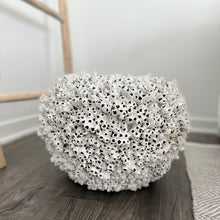Load image into Gallery viewer, Barnacle Vase
