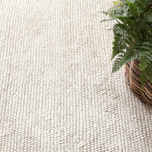 Load image into Gallery viewer, Ivory woven rug with a plant on it
