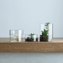 Load image into Gallery viewer, three different sized glass kinto cases with succulents in them on a wooden shelf
